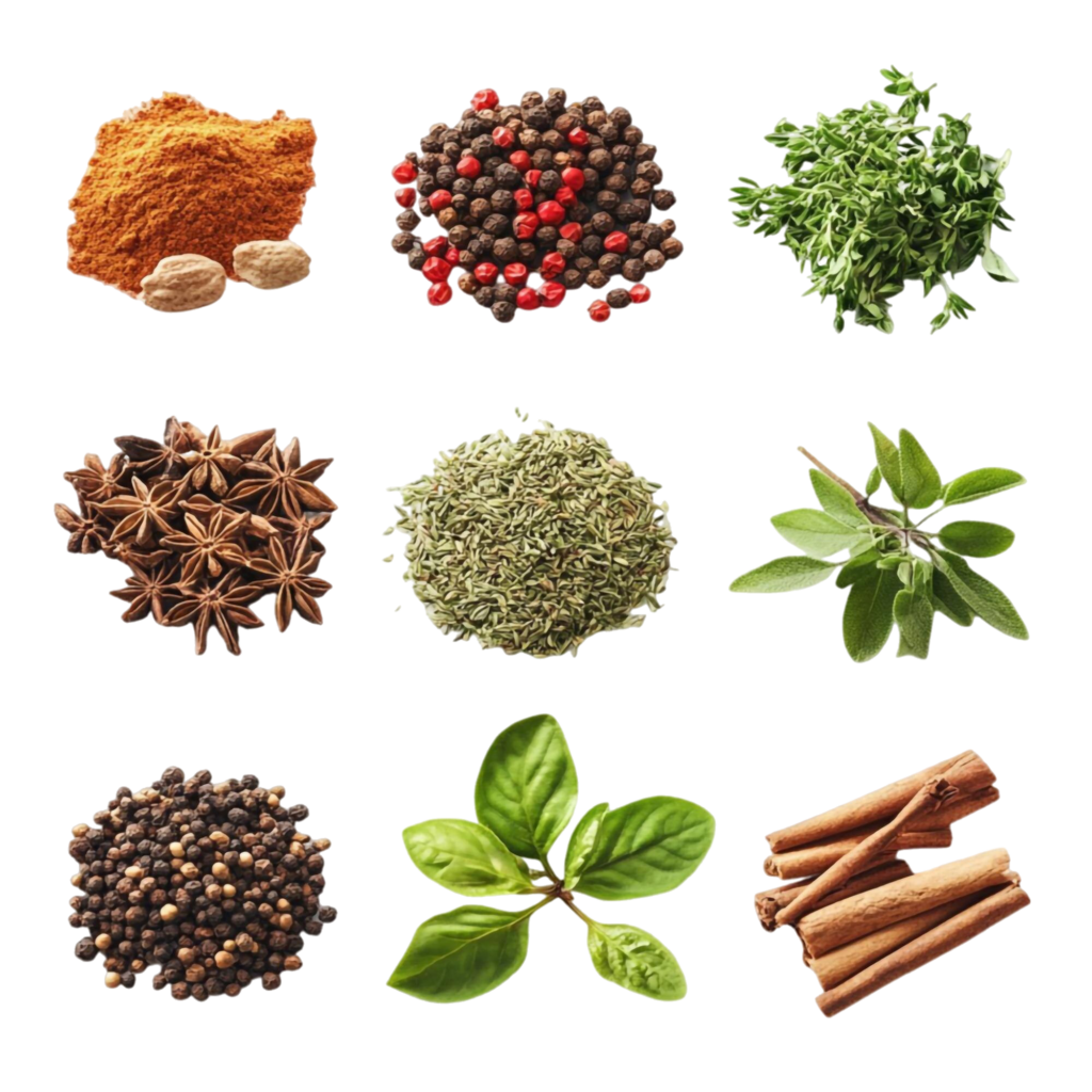 aromatic-spices-herbs-collection-fresh-dried-ingredients-cooking