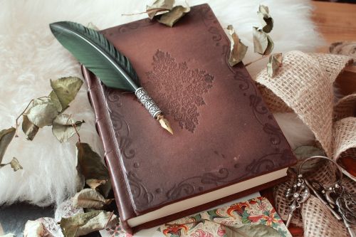 high angle shot quill pen old book covered with dried flower petals
